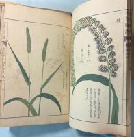 本草図譜  37～41巻　穀部（揃い）