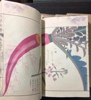 本草図譜　42～45、51～57巻　菜部1～4、10～16