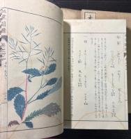 本草図譜　42～45、51～57巻　菜部1～4、10～16