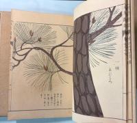 本草図譜　74～78巻　香木部（揃い）