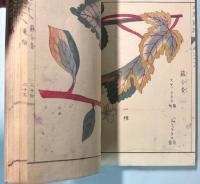 本草図譜　74～78巻　香木部（揃い）