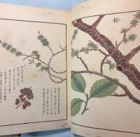 本草図譜　79～82巻　喬木部1～4（5巻は欠）