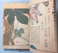 本草図譜　79～82巻　喬木部1～4（5巻は欠）