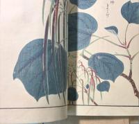 本草図譜　79～82巻　喬木部1～4（5巻は欠）