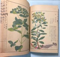 本草図譜  18巻　毒草類 1