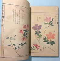 本草図譜　20巻　毒草部 3