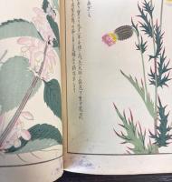 本草図譜  10～17巻　湿草類（揃い）