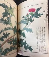 本草図譜  10～17巻　湿草類（揃い）