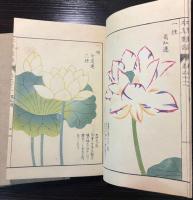 本草図譜　58～73巻　果部（揃い）
