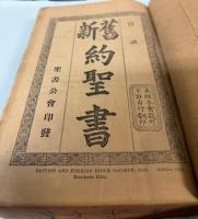 （中文）新旧約聖書