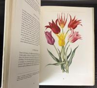 （仏文）Les plus bells fleurs de nos jardins 3冊で