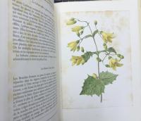 （仏文）Les plus bells fleurs de nos jardins 3冊で