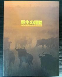 （企画展）野生の躍動　ヨシモトコレクション