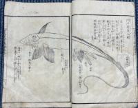 蒹葭堂雑録　巻之二