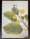 田中幸穂氏寄贈博物図譜