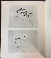 麥僊スケッチ集