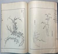 図本叢刊 芥子園画伝 初集四巻＋二集 梅譜