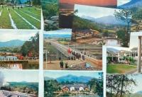 （絵葉書）韶山　12枚セット