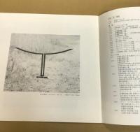 （図録）井田　彪展　Circulation ―air to air