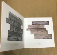 （図録）池田龍雄展　流れと累積　続・万有引力