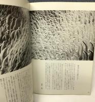 （企画展図録）渡辺あき子