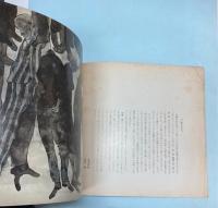 アウシュビッツの図
