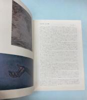 （パンフ）藤山ハン展　1980年代作品