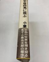 金字塔四角に飛ぶ
