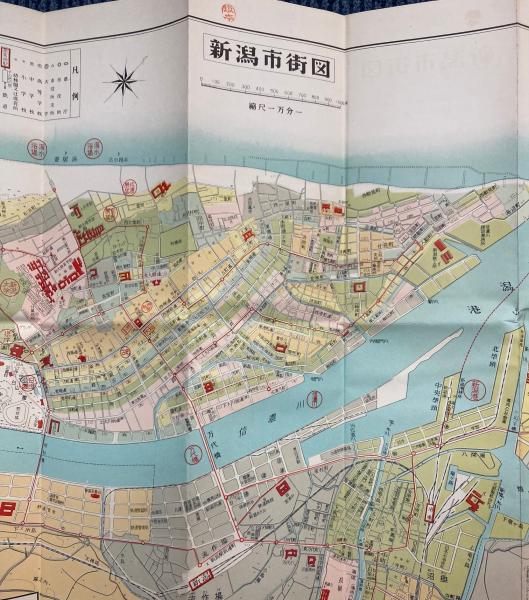 地図）新潟市とその周辺 昭和29年10月1日現在 / 金沢書店 / 古本
