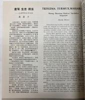 （中文）喀什噶爾速写