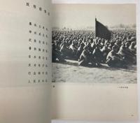 （中文）江淮敵后烽火