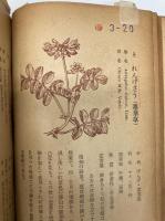新選花言葉集