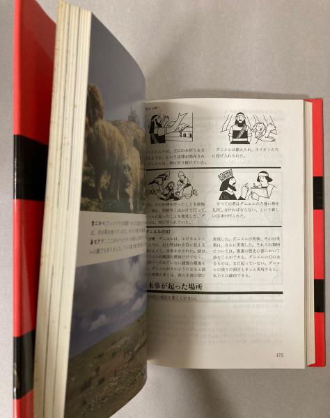 イラスト 早わかり聖書ガイドブック(H・ミアーズ原案 F