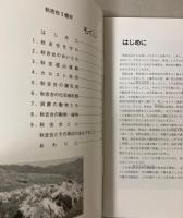 秋吉台3億年