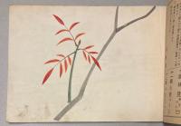 日本新画帳　高等科巻之八