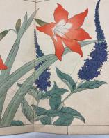 四季の花  全10冊