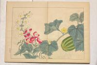 四季の花  全10冊