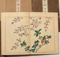 四季の花  全10冊