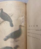 保護鳥図譜　増訂再版