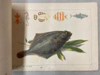 実業学校　図画教科書　巻1～3