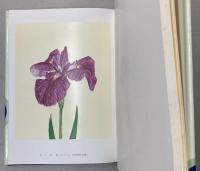 明治神宮御苑　花菖蒲図譜