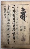 梵文 十三佛種子真言四十九院種子