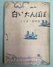 白いたんぽぽ　小穴隆一随筆集