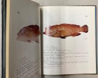 東部インド洋　アンダマン周辺海域の魚類
