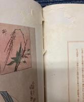 日本裸体美術全集　全6巻