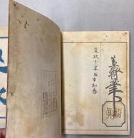 山水略画式
