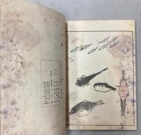 鳥獣略画式