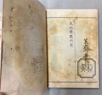 人物略画式
