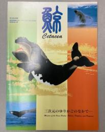 （企画展）鯨　三次元のゆりかごのなかで・・・