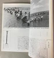 （特別展）写真が語る東京湾　消えた干潟とその漁業